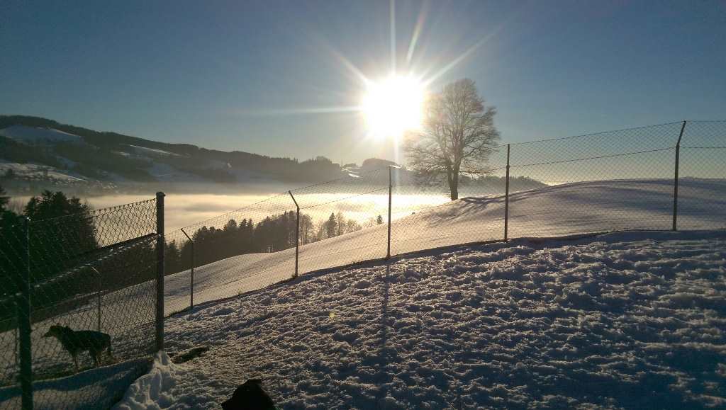 Lage der Tierpension Krummenacker