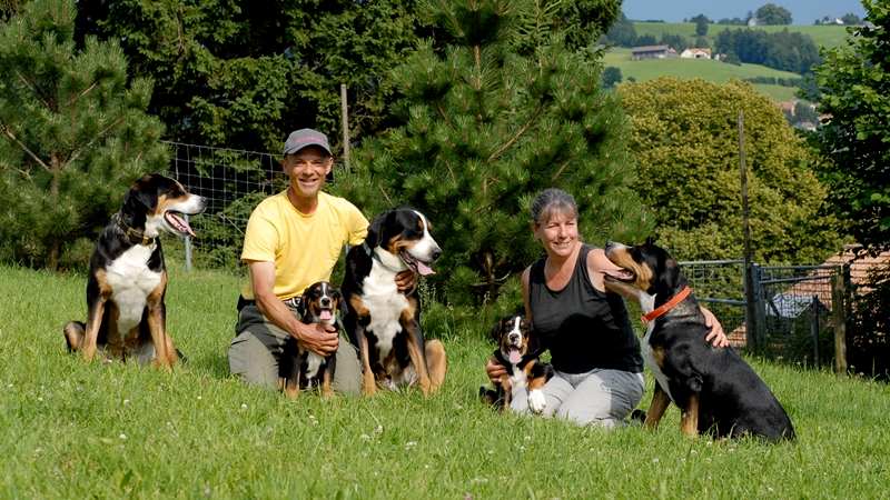 Das Team der Hundepension nähe St. Gallen: Manuela Antosiewicz und der Tierpfleger Bruno Horn