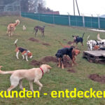 Erkunden und entdecken Erkunden und entdecken