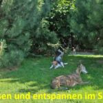 Geniessen und entspannen im Schatten Geniessen und entspannen im Schatten