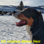 Ein schöner älterer Herr Ein schöner älterer Herr