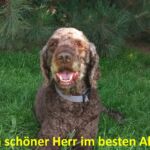 Ein schöner Herr im besten Alter Ein schöner Herr im besten Alter