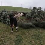 Spielplatz aus Fichten Spielplatz aus Fichten